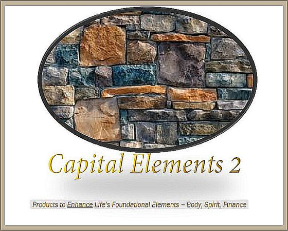 Capital Elements 2 Wellness and Fitness
