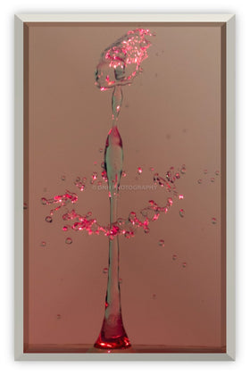 Red African Queen - Capital Elements 2 Wellness and Fitness