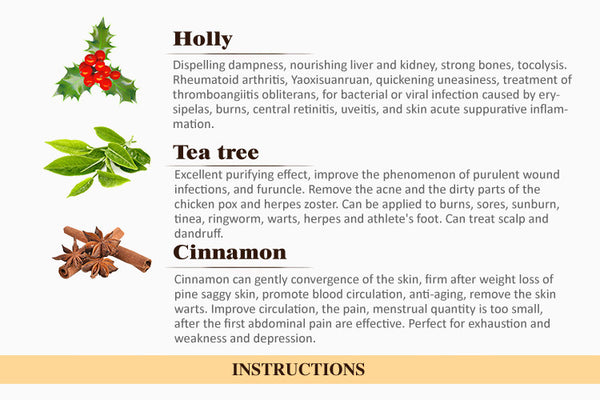 HOLLY GINGER Natural Oil - Capital Elements 2 Wellness and Fitness