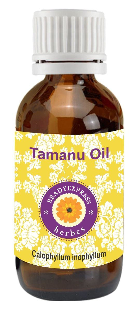 Tamanu Natural Cold Pressed Base Oil - Capital Elements 2 Wellness and Fitness