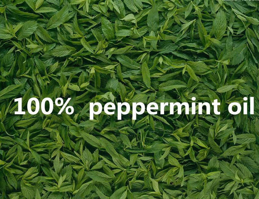 PEPPERMINT Essential oil - Capital Elements 2 Wellness and Fitness